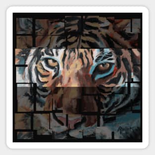 Tiger eyes Magnet